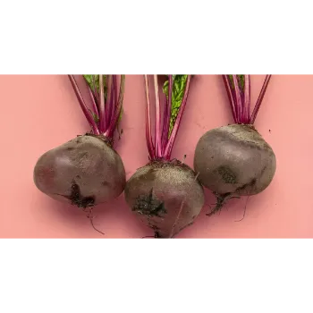 Fresh Beetroot